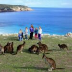 The Wildlife Of Kangaroo Island