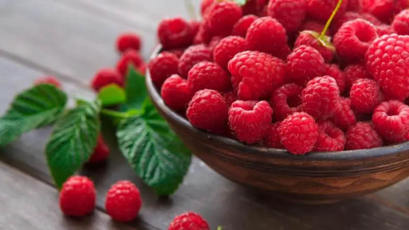Lose Weight Raspberry Ketone Max