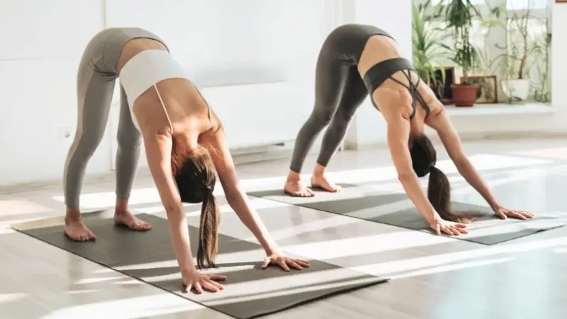 Yoga Recent Trend
